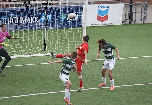 RedStorm men rout Point Park